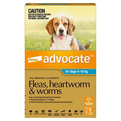 Advocate Flea, Heartworm and Worm Control (4-10kg)