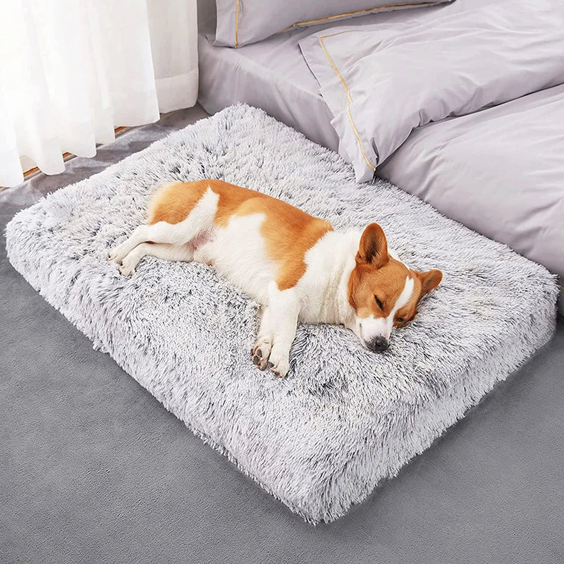 SoftPaws Lounge Bed